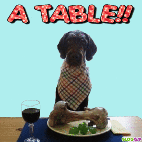 a-table-chien-gif-1-1-1.gif