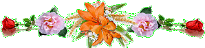 florale-iris-orange-13.gif