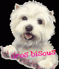 image-chiens-opale21-1.gif