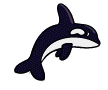 killer-whale-1.gif