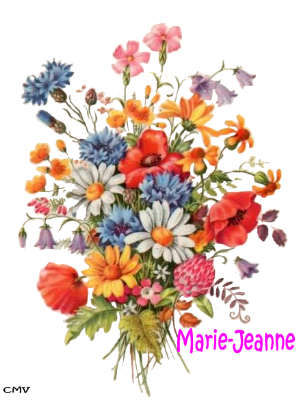 marie-jeanne-1-copie-3.png