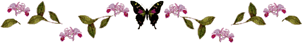 papillon-noir-1-fixe-1.gif
