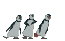 pingouins-26-1.gif