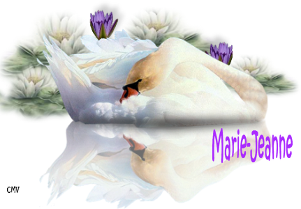 marie-jeanne-2-1-1.png